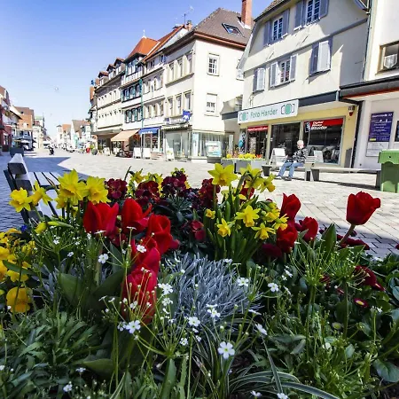 Innenstadt Apartment