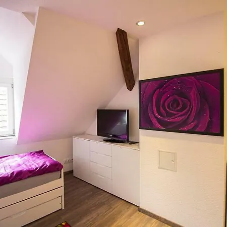 Innenstadt Apartment